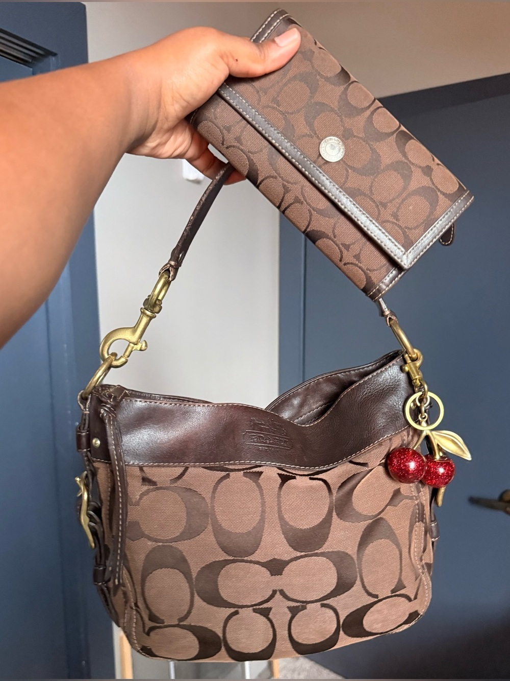 Coach Chocolate Brown Zoe Hobo Bag With Matching Wallet Set